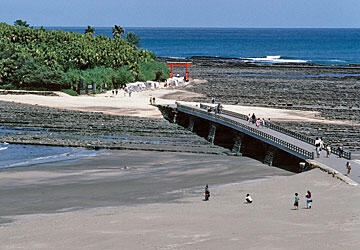 Dimana Populasi Kucing Lebih Banyak Dibanding Manusia