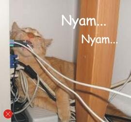&#91;Ini Dia&#93; 5 Penyebab Charger/Casanmu Putus
