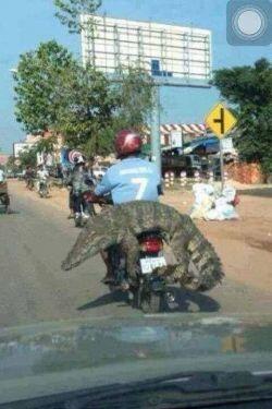 Hal - Hal Gila Bin Kocak Yang Dilakukan Orang !! gokil gan