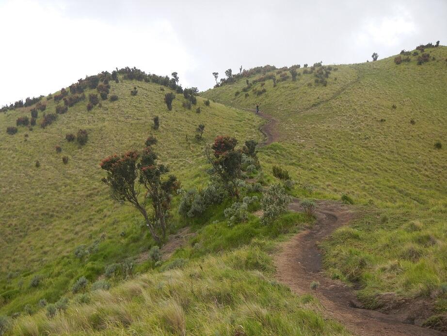 &#91;CATPER&#93; Malam yang Slow di Merbabu Jalur Selo (24 - 26 Februari 2015)