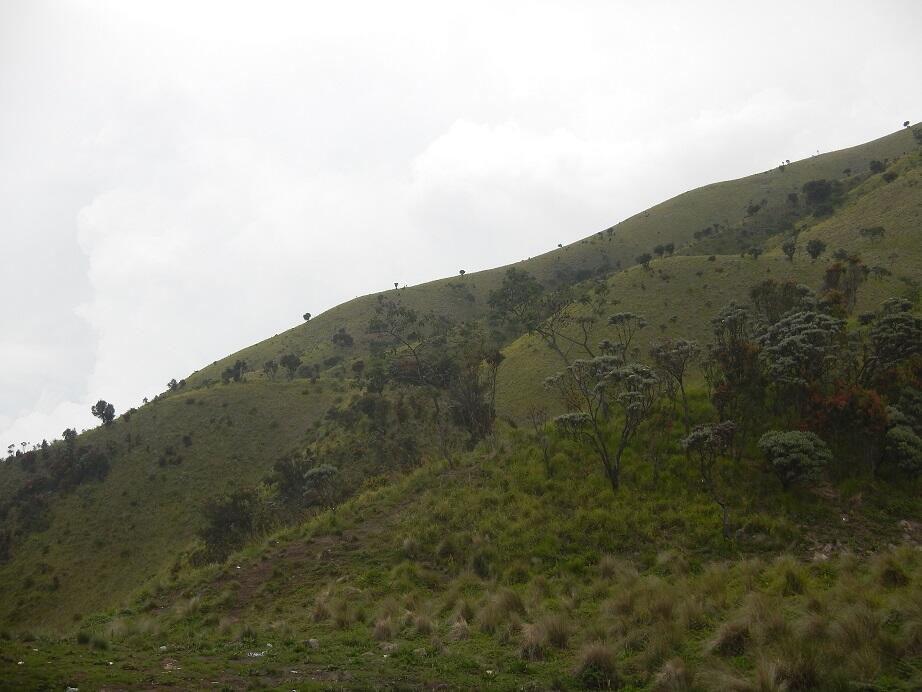 &#91;CATPER&#93; Malam yang Slow di Merbabu Jalur Selo (24 - 26 Februari 2015)