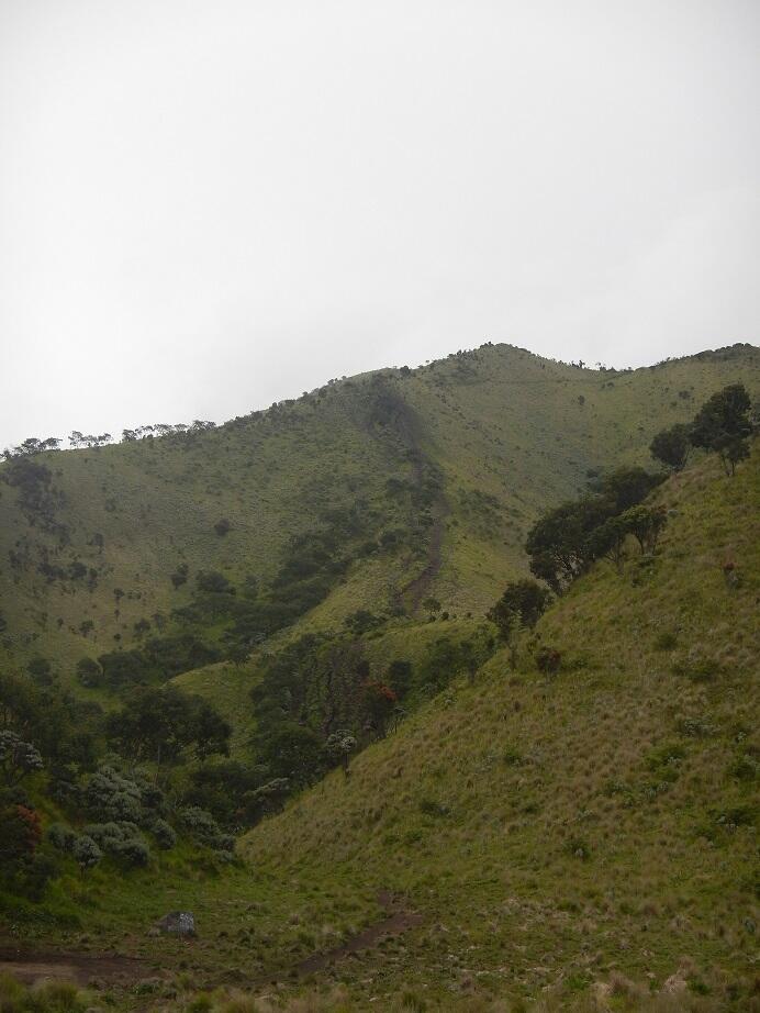 &#91;CATPER&#93; Malam yang Slow di Merbabu Jalur Selo (24 - 26 Februari 2015)