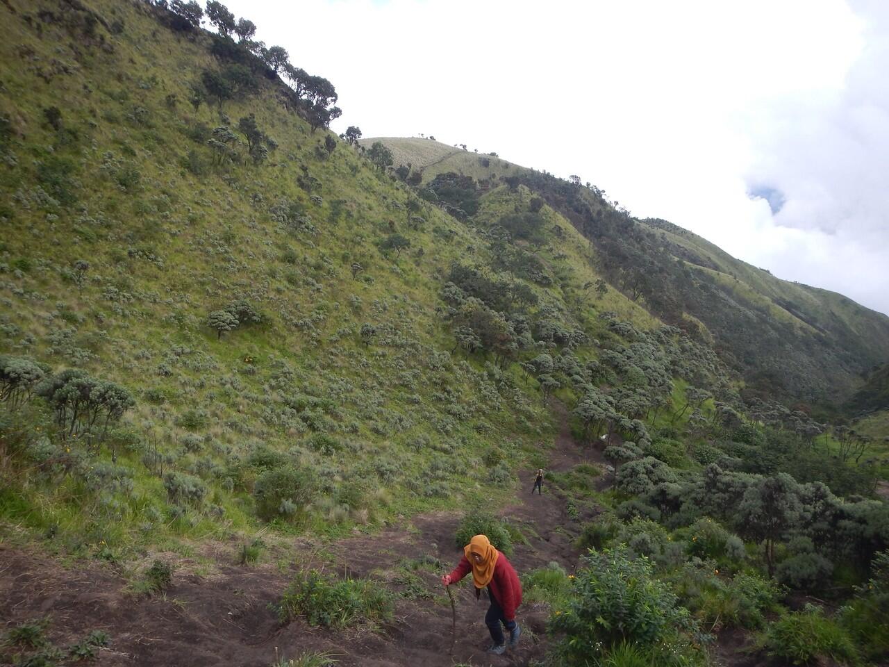&#91;CATPER&#93; Malam yang Slow di Merbabu Jalur Selo (24 - 26 Februari 2015)