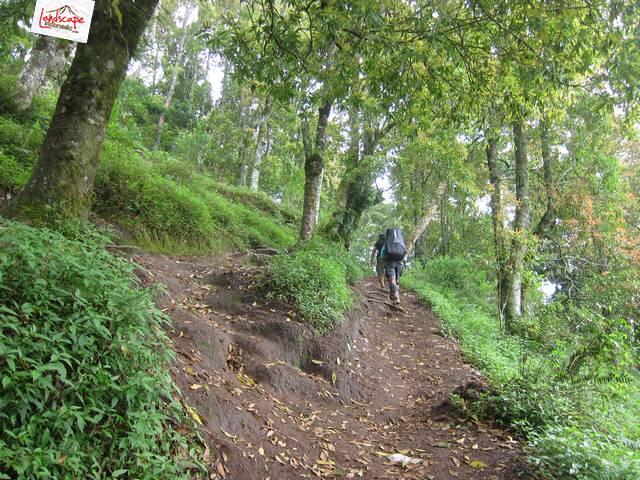 hunting milky way di merbabu (maret 2015)