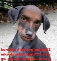meme rapat dprd