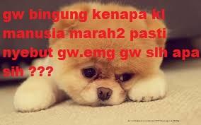 meme rapat dprd