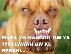 meme rapat dprd