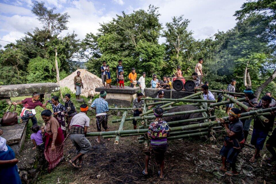 Pasola, Tradisi Masyarakat Sumba yang Mengorbankan Darah