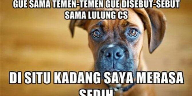 Gubernur DKI Dimaki DPRD, Muncul #SaveAnjing Dukung Ahok