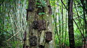 (thread weekend)3 Ritual Penguburan Khas Tana Toraja, Sulawesi Selatan