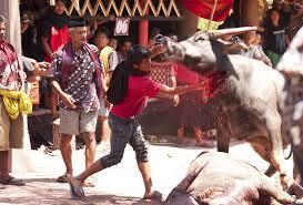 (thread weekend)3 Ritual Penguburan Khas Tana Toraja, Sulawesi Selatan