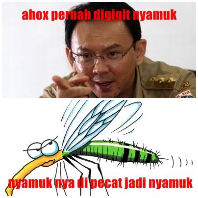 kumpulan meme ahok