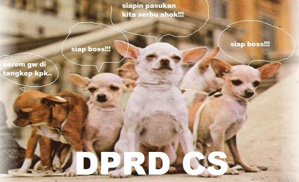meme rapat dprd