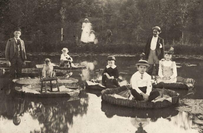 penampakan para raksasa yang pernah ada dimuka bumi 