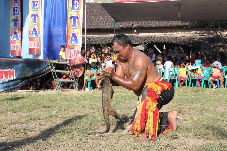 miris, pembantaian musang ayam dan kelinci saat pentas kesenian T_T