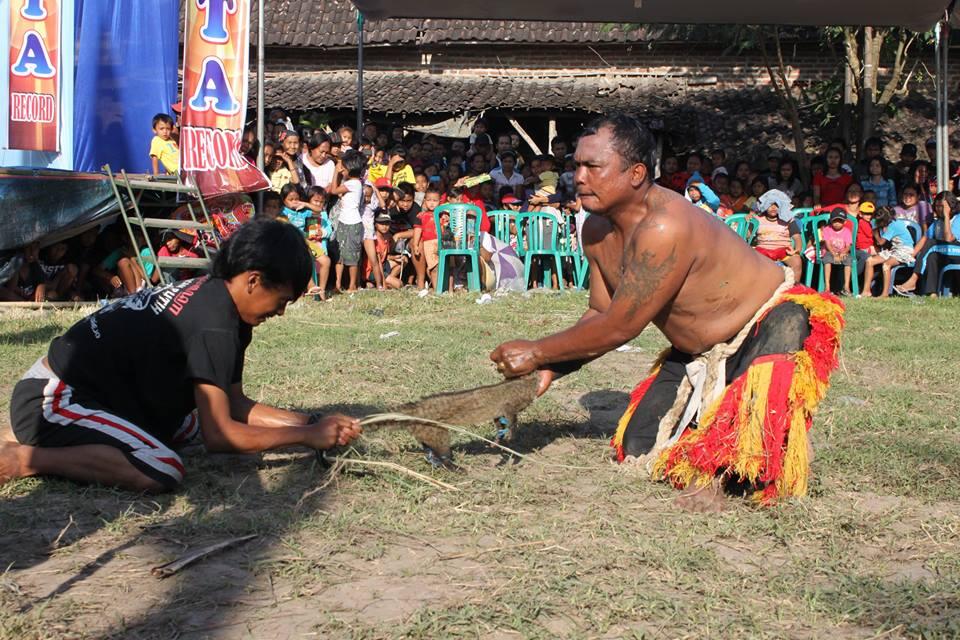 miris, pembantaian musang ayam dan kelinci saat pentas kesenian T_T