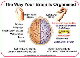 Fakta Kelebihan Tangan Kidal Dibanding Dari Orang Bertangan Normal