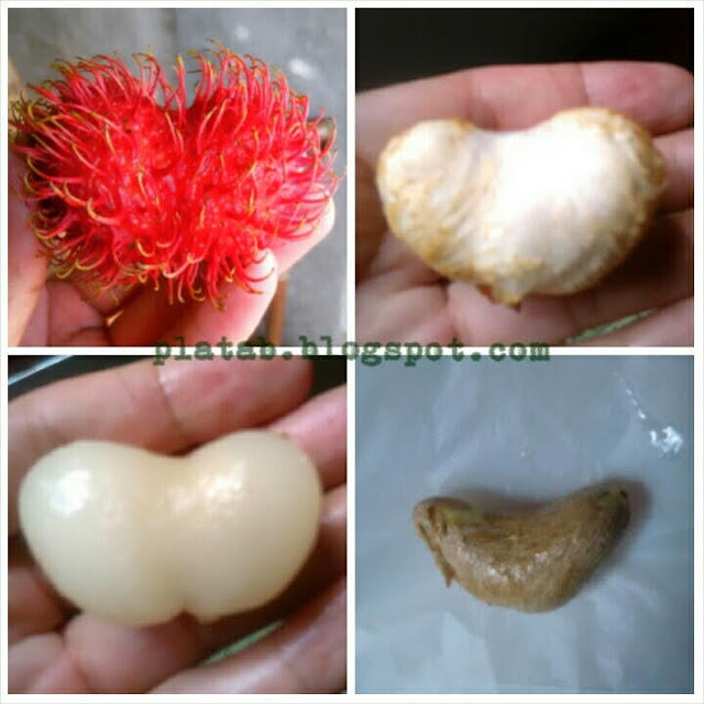 Buah Rambutan Cinta Berbentuk Hati siapa mau ?