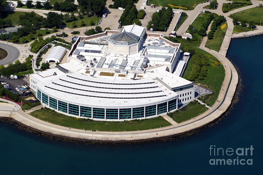 Mengunjungi Shedd Aquarium, Aquarium Dalam Gedung Terbesar Di Dunia