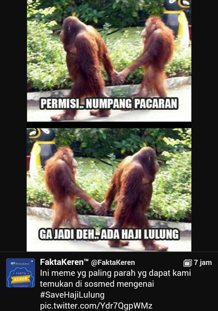 #SAVEHAJILULUNG