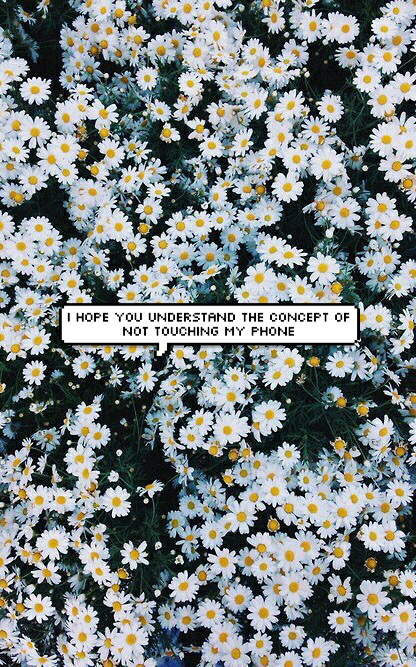 Pictures wallpaper buat handphone