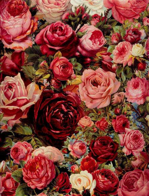 Pictures wallpaper buat handphone