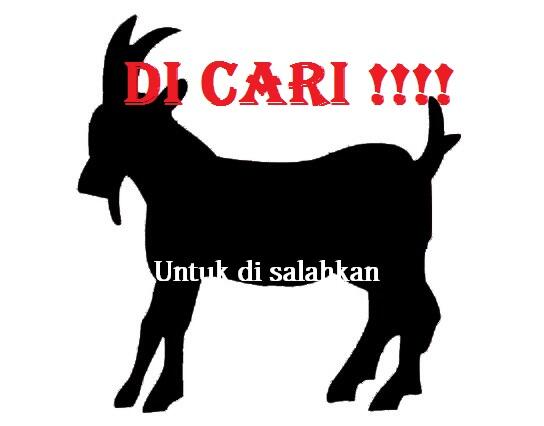 Rupiah di Atas Rp13.100, Tanda Early Warning!