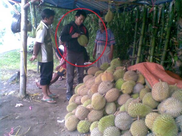 8 TIPS MEMILIH DURIAN YANG BAGUS DAN LEZAT
