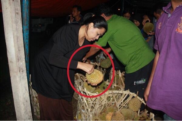 8 TIPS MEMILIH DURIAN YANG BAGUS DAN LEZAT