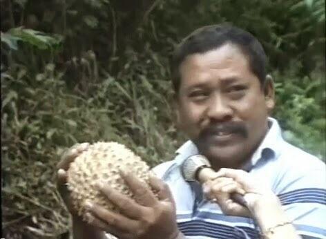 8 TIPS MEMILIH DURIAN YANG BAGUS DAN LEZAT