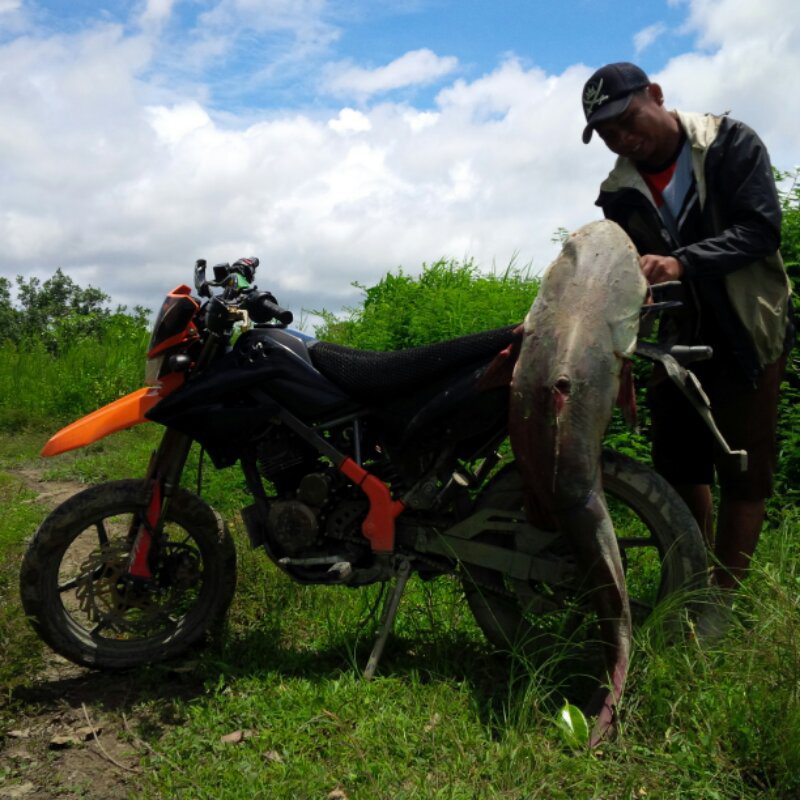Lokasi Mancing ikan Monster
