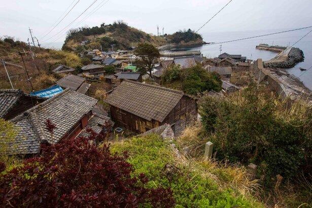 Pulau Kucing ( Cat Island ) di Aoshima. Jepang