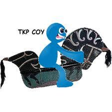 Artis yang Bakal Meramaikan Pilkada di Beberapa Kota/Kabupaten di Indonesia