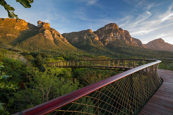 Centenary Tree Canopy Walkway, Sensasi Jalan Di Atas Hutan