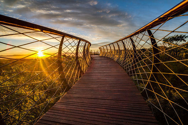 Centenary Tree Canopy Walkway, Sensasi Jalan Di Atas Hutan