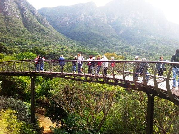 Centenary Tree Canopy Walkway, Sensasi Jalan Di Atas Hutan