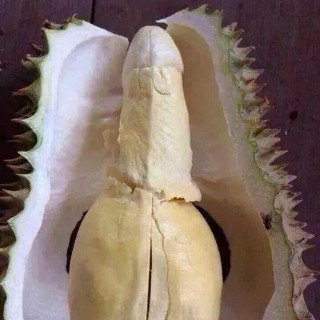 Buah Durian terunik... mantafff