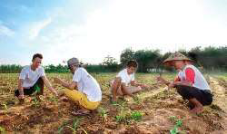 Menteri Sebut 104 Daerah Terbentuk karena Transmigrasi