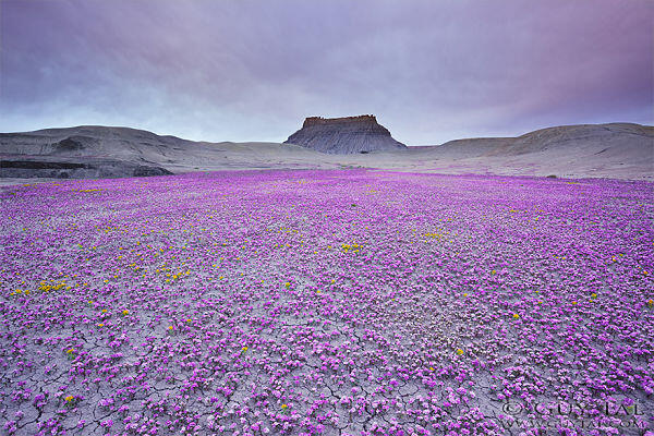 The Badlands, Gurun Unik Berwarna-Warni