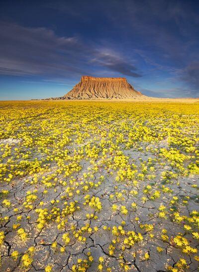 The Badlands, Gurun Unik Berwarna-Warni