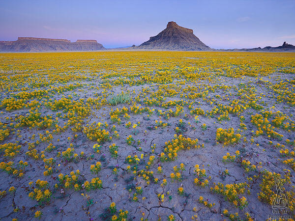 The Badlands, Gurun Unik Berwarna-Warni