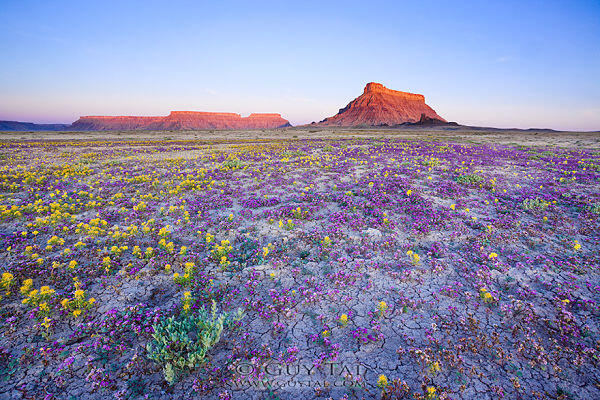 The Badlands, Gurun Unik Berwarna-Warni