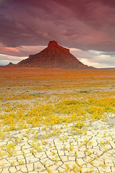 The Badlands, Gurun Unik Berwarna-Warni