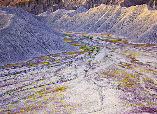 The Badlands, Gurun Unik Berwarna-Warni