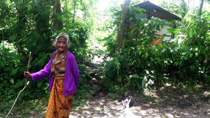 Nenek 90 Tahun dan Anjing Bernama Semut Tinggal Sebatang Kara di Lereng Merapi