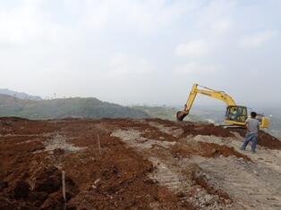 Lahan Bekas Tambang,,Disulap jadi Hutan Pendidikan