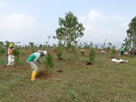 Lahan Bekas Tambang,,Disulap jadi Hutan Pendidikan