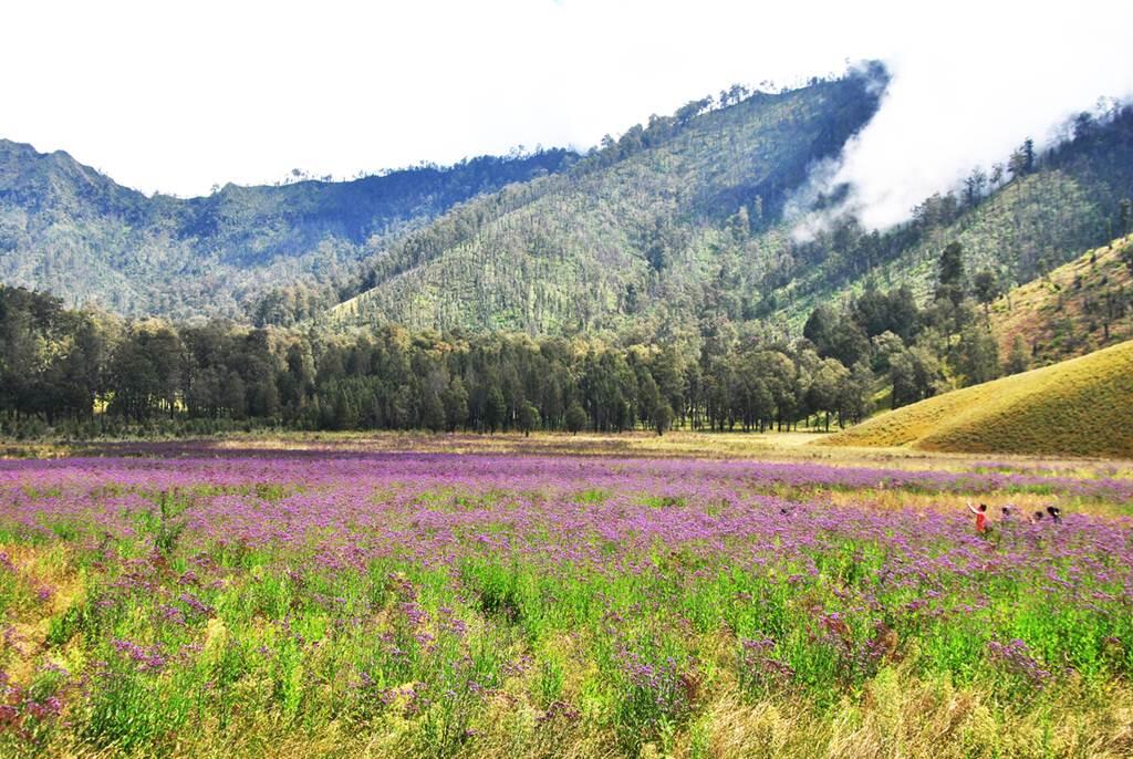 Menikmati Pesona Alam Mahameru