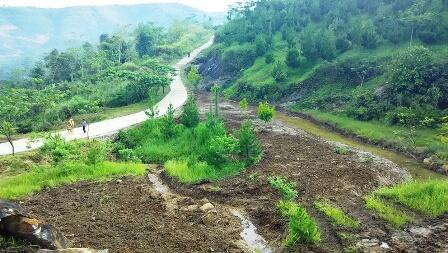 Lahan Bekas Tambang,,Disulap jadi Hutan Pendidikan