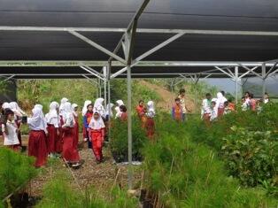 Lahan Bekas Tambang,,Disulap jadi Hutan Pendidikan